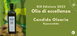 Candida Olearia di Ripacandida
