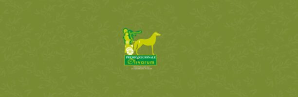 Olivarum – XXI Edizione