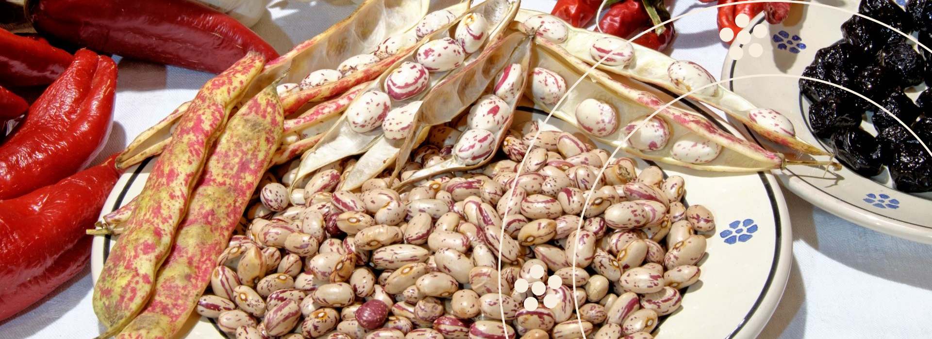 Fagioli