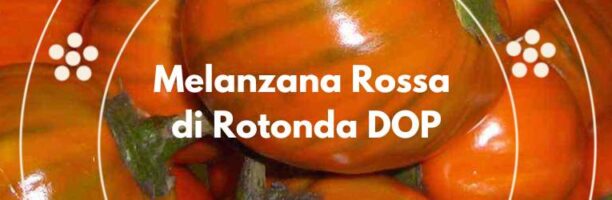 Melanzana Rossa di Rotonda DOP