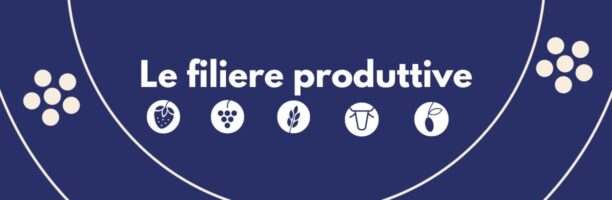 Le filiere produttive