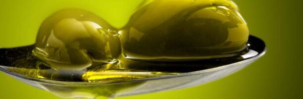 La Regione Basilicata al DMed, Salone della Dieta Mediterranea di Paestum