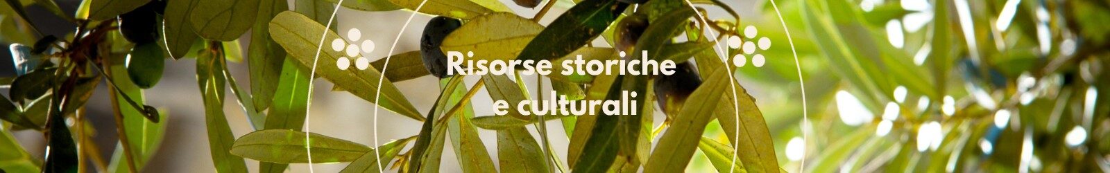 Basilicata tipica