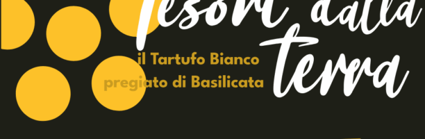 Tesori dalla Terra: Tartufo bianco pregiato di Basilicata, Matera 29-30/11
